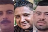 articulo relacionado