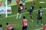articulo relacionado