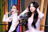 articulo relacionado