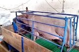 articulo relacionado
