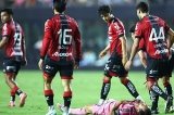 articulo relacionado