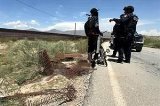 articulo relacionado