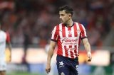 articulo relacionado