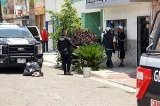 articulo relacionado