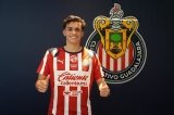 articulo relacionado