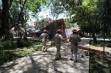 articulo relacionado