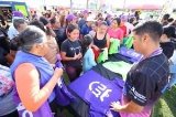 articulo relacionado