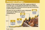 articulo relacionado