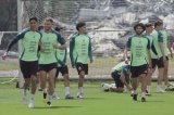 articulo relacionado