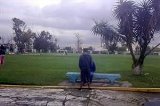 articulo relacionado