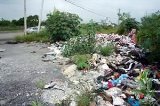 articulo relacionado