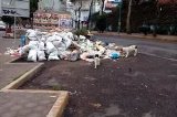 articulo relacionado