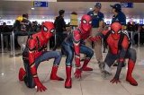 articulo relacionado