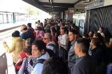 articulo relacionado