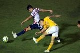 articulo relacionado