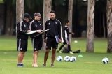 articulo relacionado
