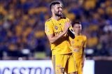 articulo relacionado