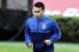articulo relacionado
