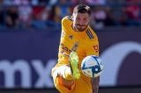 articulo relacionado