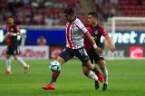 articulo relacionado