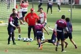 articulo relacionado