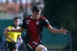 articulo relacionado