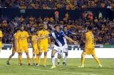 articulo relacionado