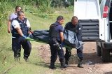 articulo relacionado