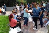 articulo relacionado