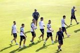 articulo relacionado