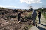 articulo relacionado