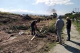 articulo relacionado