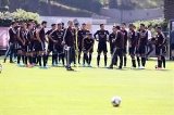 articulo relacionado