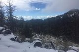 articulo relacionado