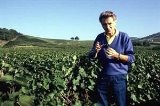 articulo relacionado