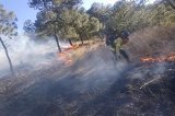 articulo relacionado