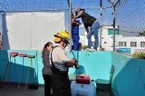 articulo relacionado