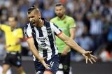 articulo relacionado