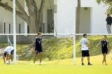 articulo relacionado
