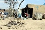 articulo relacionado