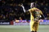 articulo relacionado