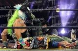 articulo relacionado