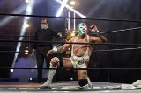 articulo relacionado