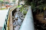 articulo relacionado