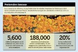 articulo relacionado