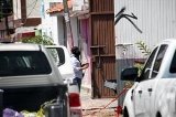 articulo relacionado