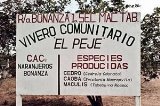 articulo relacionado