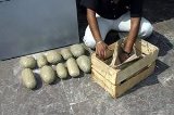 articulo relacionado