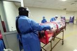 articulo relacionado