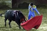 articulo relacionado